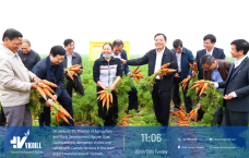 THE MINISTER VISITED THE LARGEST EXPORT CARROT FARM IN VIETNAM