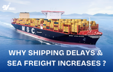 Why Shipping Delays & Sea Freight Increases So High ?