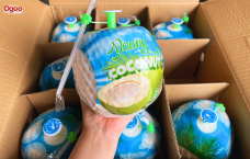 VIETNAMESE FRESH YOUNG COCONUT