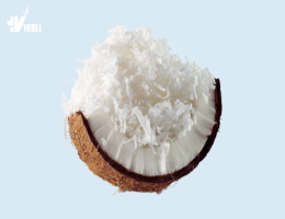 DESICCATED COCONUT