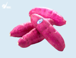 JAPANESE SWEET POTATO