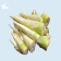 FRESH BAMBOO SHOOTS