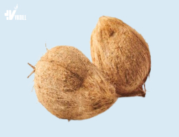 SEMI-HUSK MATURED COCONUT