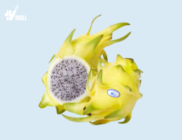 YELLOW SKIN DRAGON FRUIT