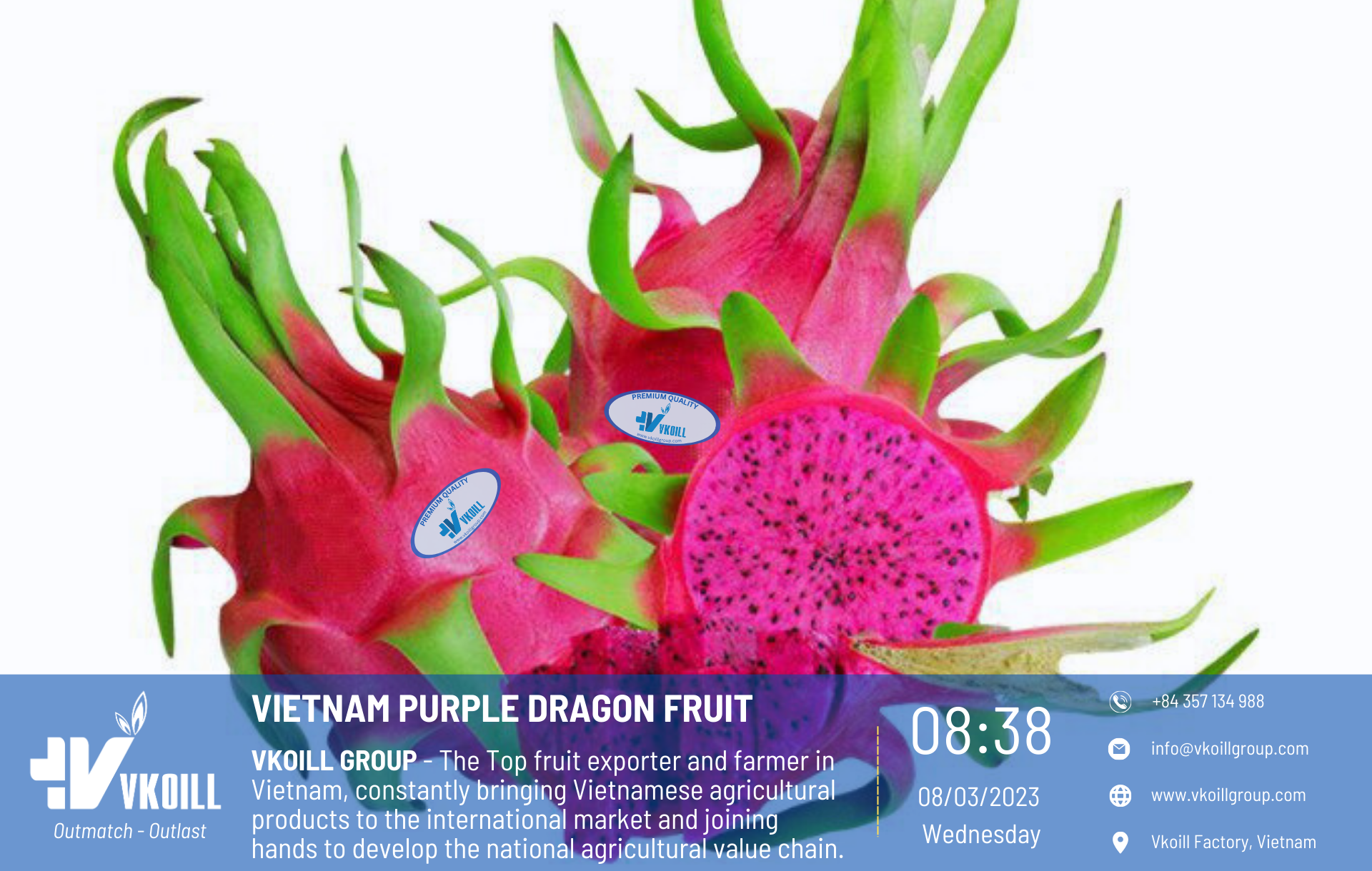 PurpleDragonFruit