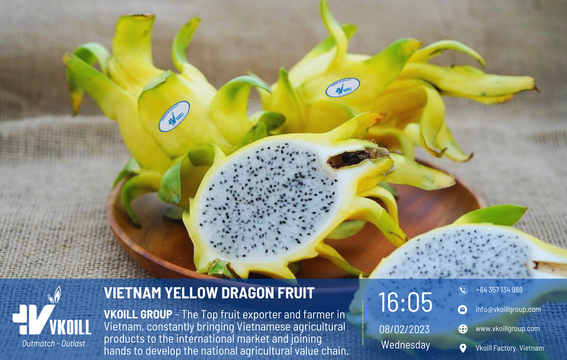 YelowDragonFruit